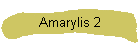 Amarylis 2