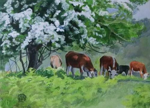 Grazing under the May Tree